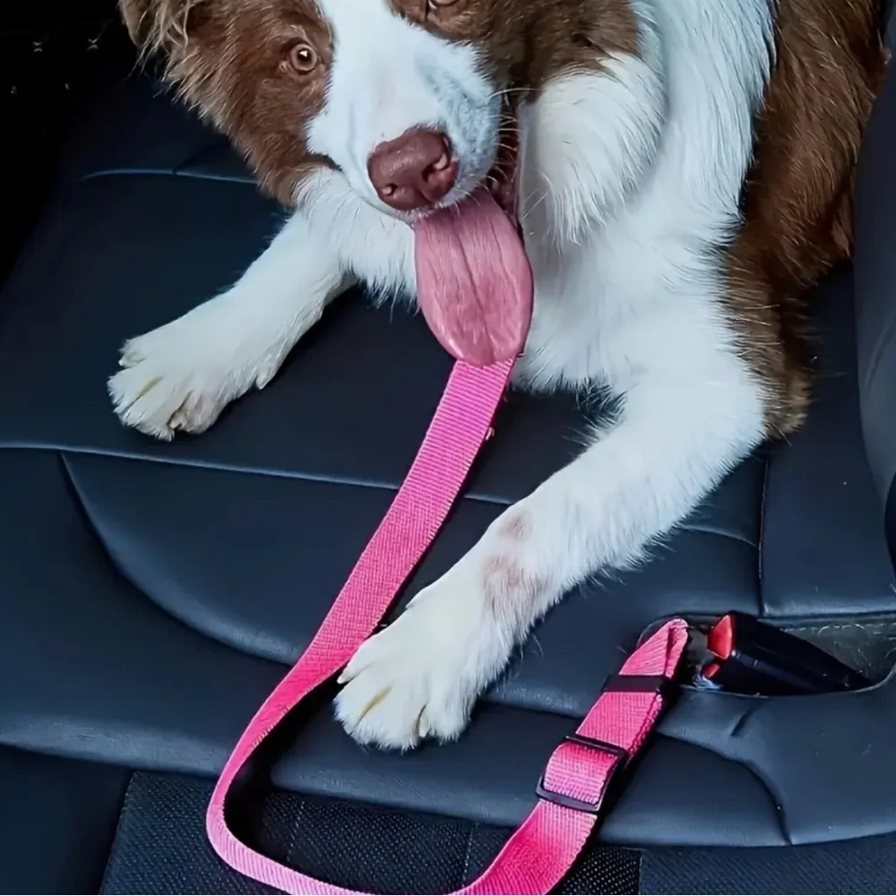 Purple PetSafe Adjustable Nylon Dog Harness